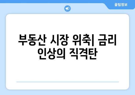 금리 인상이 자산 시장에 미치는 영향 분석